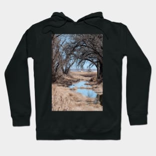 Sage River Hoodie